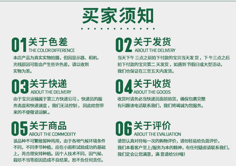 散装尖叶菠菜--详情页-800_11