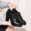 Elegantes Zapatos de Tacón Alto, Versátiles Zapatos Nuevos para Mujer Primavera y Otoño 2025, Zapatos Negros de Cuero con Tacón Grueso, Combinan con Faldas, Venta al por Mayor de Zapatos Individuales