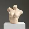 Expositor de modelo de lingerie masculino e feminino, busto meio corpo com bojo, suporte de modelo de lingerie, adereços de fotografia de corpo humano falso, modelo de peito