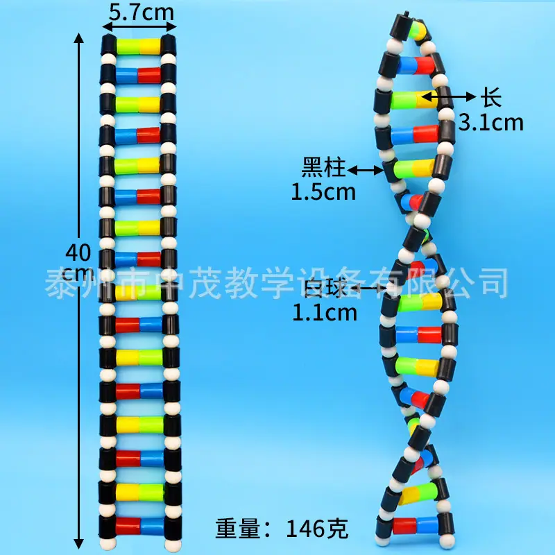 DNA (3).jpg