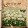Felpudo de entrada de forma irregular con estampado floral rústico, felpudo de bucle de seda cortable, felpudo para entrada que quita el polvo y antideslizante