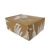 Cajas de Avión Coloridas Impresas por Ambos Lados Extra Resistentes, Cajas Corrugadas Grandes Personalizadas, Cajas de Cartón Blanco, Cajas de Embalaje Corrugado, Fábrica Personalizada
