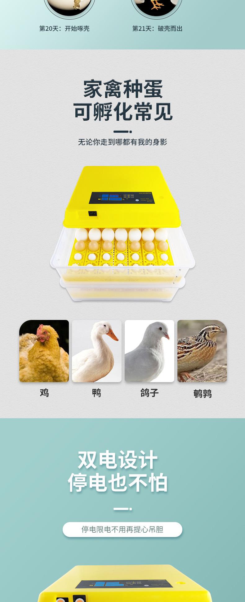 孵化器（已修改）_06