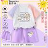 2025 Nuevo Conjunto de Camiseta de Manga Corta y Pantalones Cortos Bud de Algodón para Niños Verano Top 7