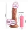 Huevo Vibrador, Concha Pequeña, Caballito de Mar Pequeño, Juguete Portátil para Mujeres, Masturbador Masculino, Juguete Sexual para Adultos