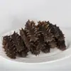 Pepino de Mar Seco, Pepino de Mar de Liao, Pepino de Mar Espinoso, Pepino de Mar de Dalian al por Mayor, Productos Secos de Alta Calidad, Se Puede Enviar en Nombre de Otros