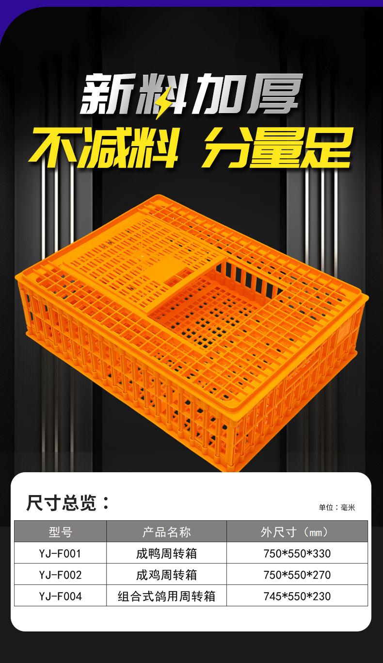 详情_04.jpg