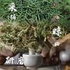Polvo de Champú Herbal, Polvo para Lavar el Cabello a Base de Plantas de Trece Ingredientes de la Familia Miao, Polvo Nutritivo para el Cabello, Hoja de Ciprés de China, Envío Directo de una Pieza