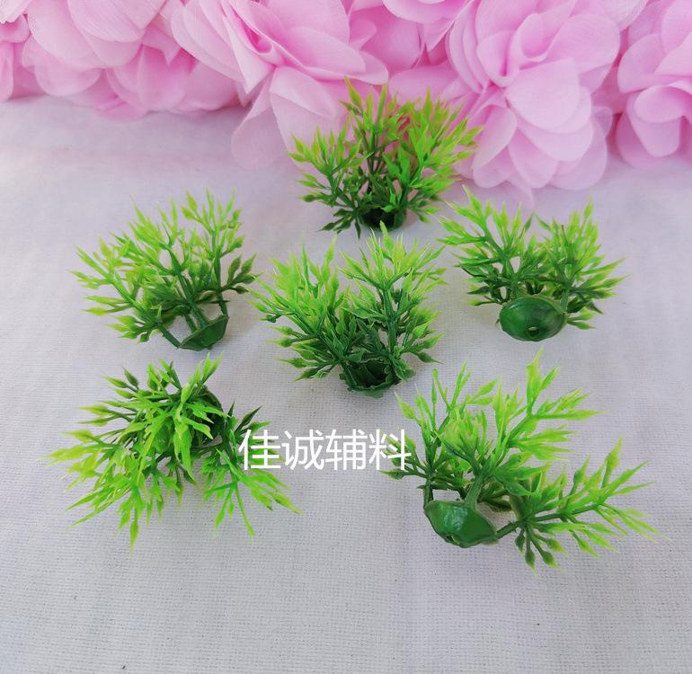 椰树-花 花绿枝朵.jpg