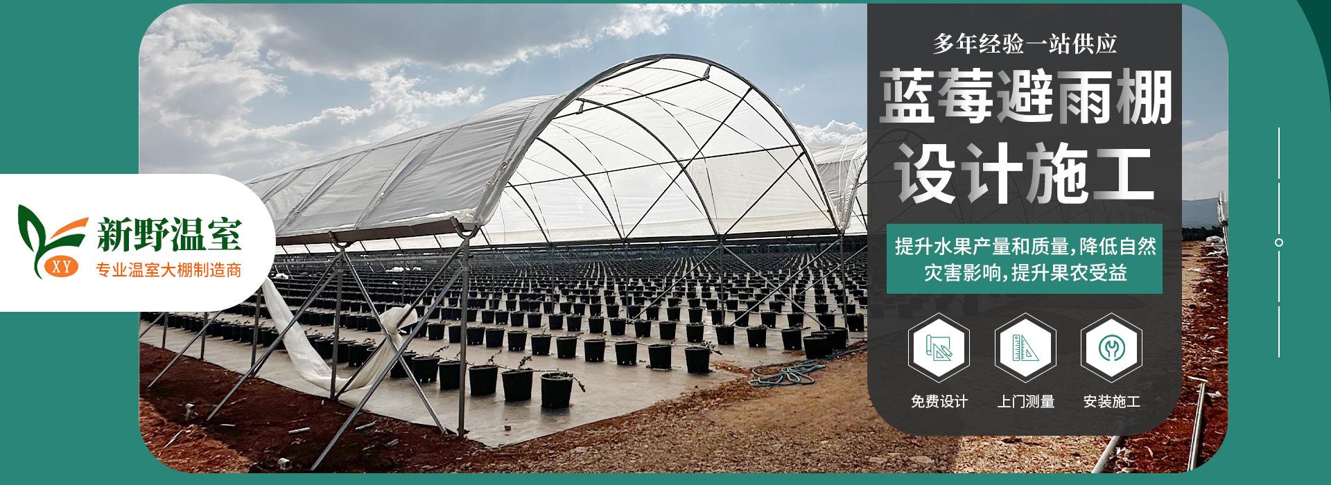 pc2蓝莓避雨棚.jpg