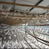 Ovos de pombo de criação livre de Henan, disponíveis para entrega em caixas de 10/20/30 ovos, alimentados com grãos mistos, ovos de pombo frescos, ovos de aves frescas