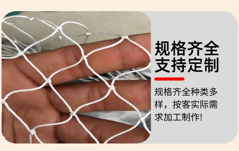 详情 (9).jpg
