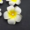 Grampo de Cabelo/Adorno de Cabeça Flor Plumeria Colorida Simulada, Itens em Estoque Transfronteiriços 4-11cm, Adequado para Férias na Praia à Beira-Mar e Estilo Étnico Dai