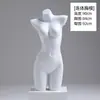 Mannequin de Torso Masculino e Feminino com Roupas Íntimas Brancas Franzidas Suporte para Exibição em Vitrine de Loja de Lingerie Cabide para Sutiã