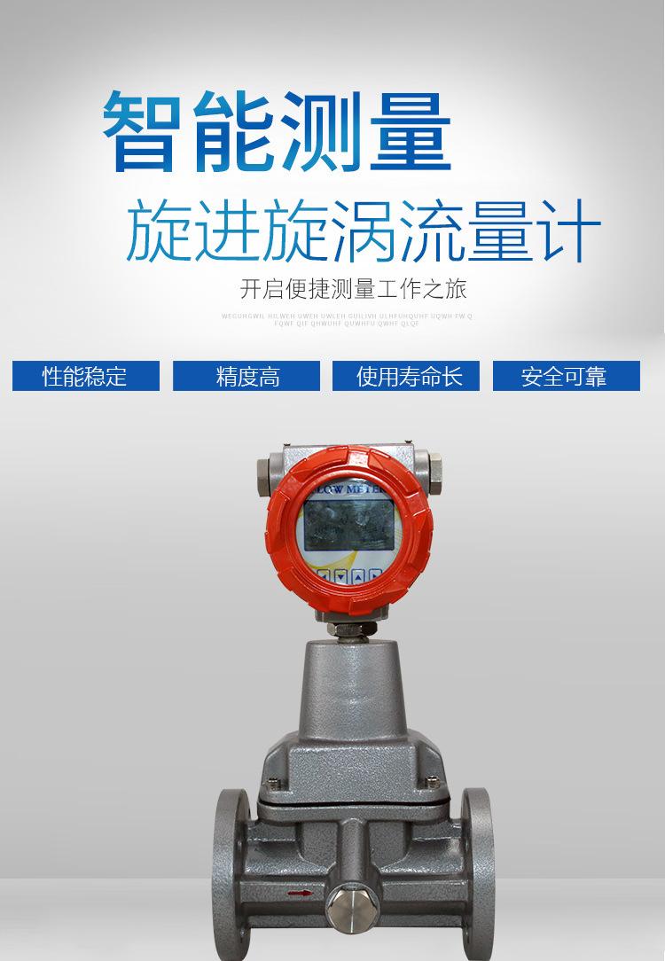 旋进旋涡流量计_02.jpg
