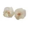 "Flores de Gasa en Polvo" Pendientes de Flor de Chifón Rosa para Mujer, de Alta Gama y Súper de Hada, Pendientes de Estilo Vacaciones de Verano en la Costa