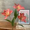 3 Lirios Impresión 3D Tela de Seda Hemerocallis Lirio Colorido Ventana Monet Arte Floral con Flores de Atrezo para Exteriores