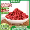 Trozos de Fresa Liofilizada al por Mayor, Materias Primas para Hornear Galletas Copo de Nieve, Crujientes de Fresa Fruta Deshidratada, Piezas Enteras para Decoración, Personalizable