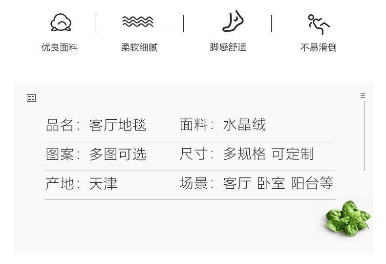 地垫地毯,客厅地毯,印花地毯,满铺地毯