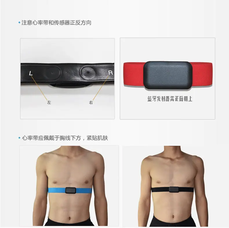 心率详情3_06