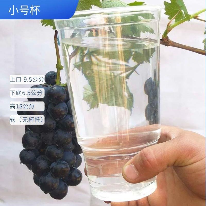 小杯SUK