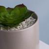 Fábrica de Chaozhou Marca Personalizada Flor Falsa Mini Planta Pequeña Maceta Redonda Recta Estilo Nórdico Decoración de Sala de Estar