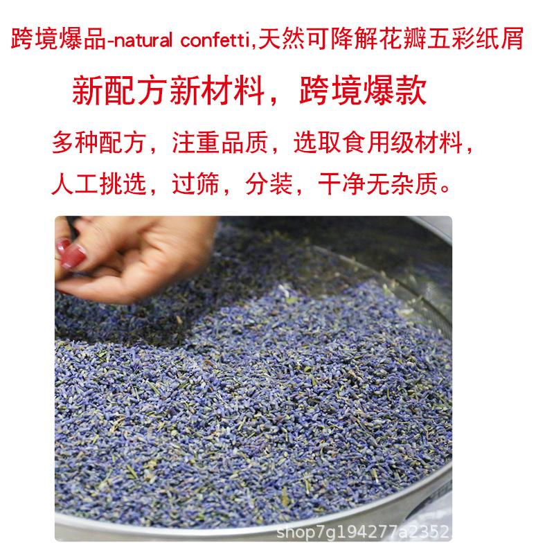 新本文纸屑详情_01.jpg