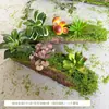 Plantas Verdes, Musgo, Corteza de Árbol, Tocones de Árbol Falsos, Guardería con Temática de Bosque, Estilo Pastoral, Adornos de Musgo, Decoraciones de Paisajismo, Se Pueden Usar para Arreglos Florales