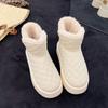 Novos Sapatos Quentes da Moda de Inverno 2026 com Lã Espessa, Resistentes ao Frio, à Prova de Neve, para Exterior, Sapatos de Solado Grosso para Nordeste para Comércio Transfronteiriço