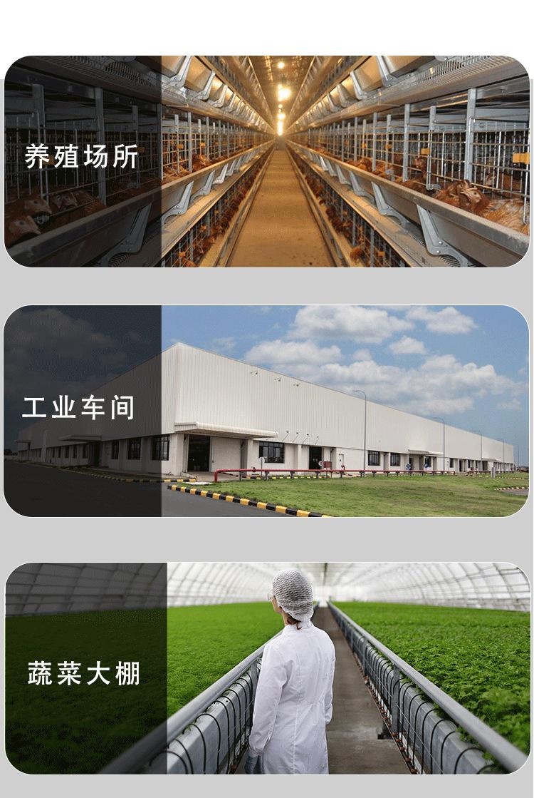 抖店最新详情页-拷贝123_19