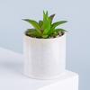 Maceta de cerámica con suculentas artificiales para decoración de jardín, personalizada, para oficina, sala de estar y escritorio, venta al por mayor de fábrica