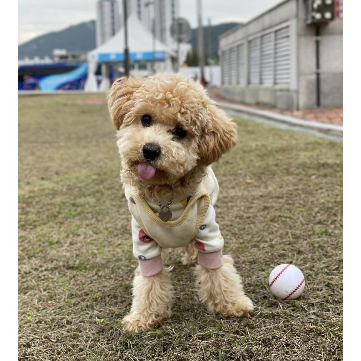 微信图片_20211019125241.jpg