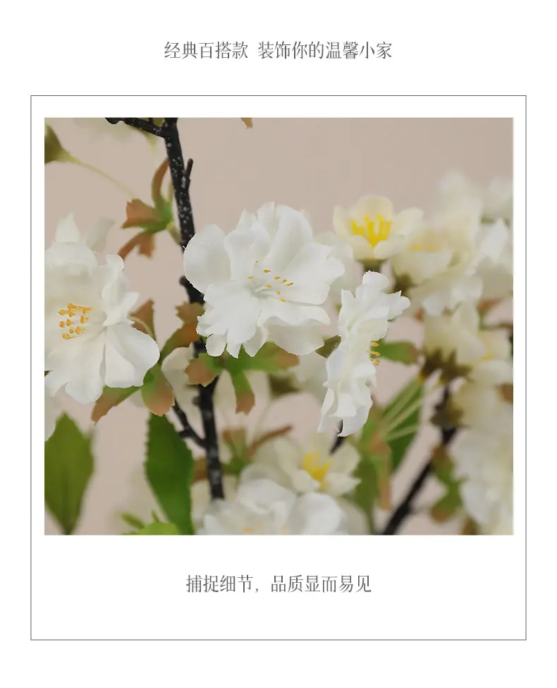 单枝小号好韵樱花-少花_06.jpg