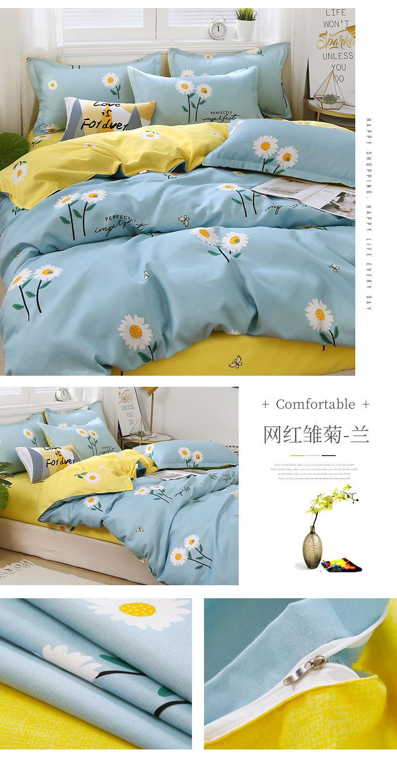 网红雏菊-兰