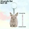 Chaveiro Pingente de Mochila de Casal com Tema de Carro Transfronteiriço, Pingente de Chaveiro Animal em Desenho Animado de Acrílico para Colegas
