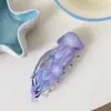 Pinza para el pelo de medusa con gradiente de ensueño en acetato, Pinza transparente de nicho para niñas, Pinza de tiburón para recogidos en la parte trasera de la cabeza, Accesorio para el pelo