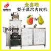 Peladora automática de peras multifunción Peladora a vapor máquina planchadora de peras maquinaria Zhucheng Longkun