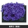 Hortensia de madera Flor eterna Rosa eterna central Caja de regalo Cubierta de vidrio Material de la flor Material de la flor preservada Material de la flor eterna