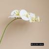 Orquídea Phalaenopsis artificial de ramo único com 7 cabeças, toque de mão, filme, luxo leve, decoração floral para casa, arranjo de flores, conjunto de casamento, Phalaenopsis