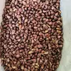Semilla de Uva, Semilla de Uva, Semilla de Uva de Granja, Semilla de Uva Sin Azufre Venta al por Mayor Dropshipping