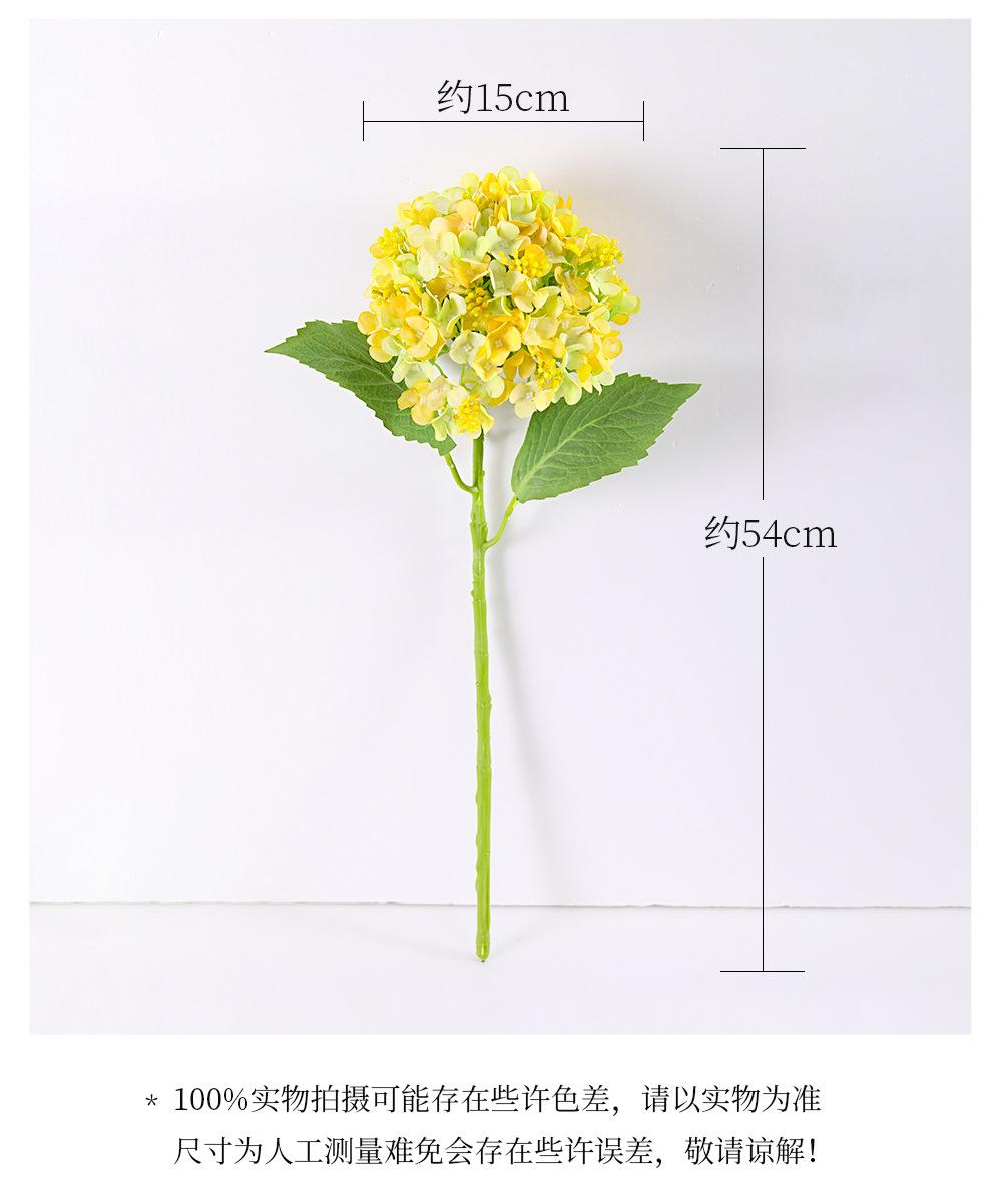 详情_02.jpg