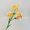 Simulación 3 cabezas flor de otro lado orquídea viento y lluvia flor falsa flor de boda tocado flor horquilla flor decoración de boda flor fábrica mayoreo