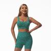 Traje de Yoga Popular Europeo y Americano Transfronterizo de Cintura Alta para Aplanar el Abdomen con Estampado de Leopardo, Mallas Levanta Glúteos para Exterior Ajustadas para Correr, Shorts Fitness Melocotón