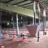 Equipamento totalmente automático para criação de frangos em piso com linhas de ração e água, equipamento automático de alimentação para frangos de corte, fabricante de equipamento para criação de frangos em piso