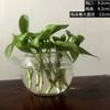 Vaso de Vidro Escandinavo Criativo Simples Vaso de Flores Hidropônico Luxo Acessível Casa Pequeno Fresco Flores Secas Ornamentos Decorativos