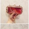 Ramo Pequeño y Exquisito, Bolso Hueco de Metal Transparente, Bolso de Mano con Cadena para Mujer
