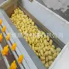 Máquina limpiadora de ñames máquina limpiadora de batatas máquina peladora limpiadora de rodillo de lana máquina peladora limpiadora de patatas shunze machinery