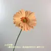 Gerbera Simulada de Rama Única Exportación Transfronteriza Decoración Floral para Bodas Accesorios Florales para Sala de Estar Adornos Flores Artificiales