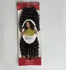 Venta al por mayor desde el fabricante original ROYAL CURLS cabello corto rizado 2026 nuevo transfronterizo más vendido pelucas africanas