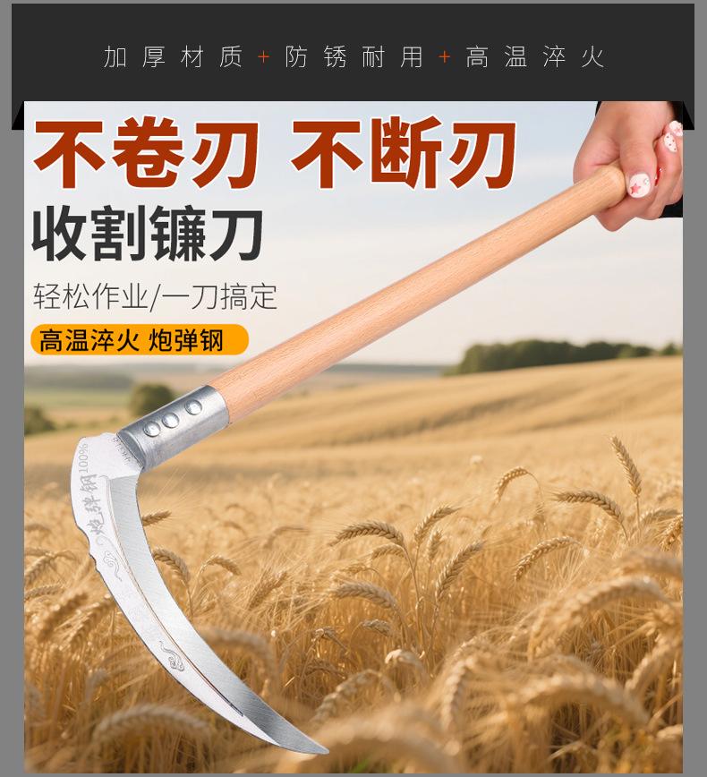 详情_05.jpg